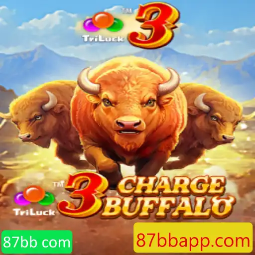 Explorando o Mundo de 3ChargeBuffalo