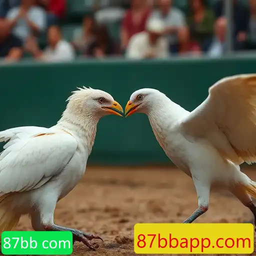 VIP Service 87bb com - 24/7 Support and Exclusive Benefits